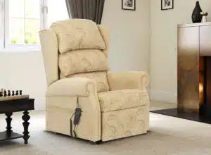 Recliner Disabled Adult Chair